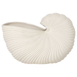 2193 Shell schelp woondecoratie