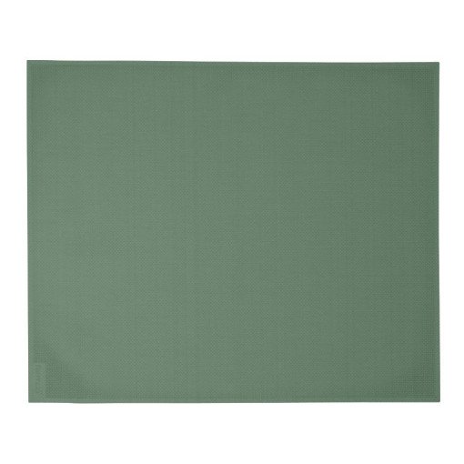 Fermob placemat 45x35 Cactus