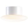 Aton Caïro plafond- en wandlamp LED Ø20 wit