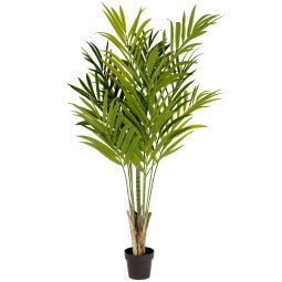 Palmera kunstplant 170