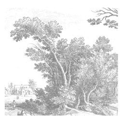 Engraved Landscapes V behang (6 banen)