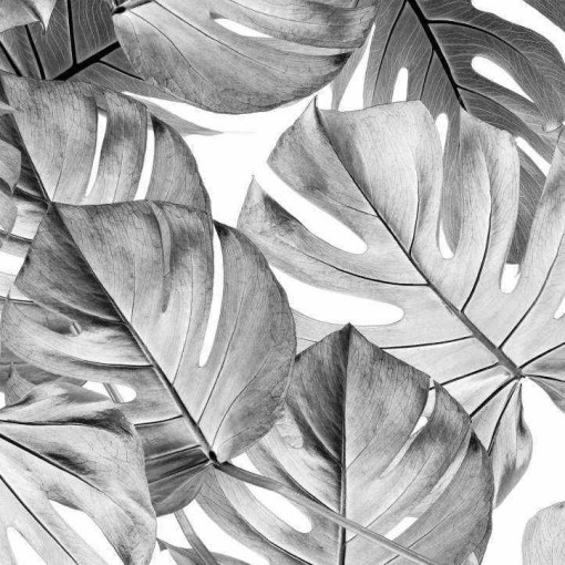 Monstera Botanical behang Zwart en wit