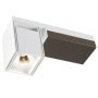 Rektor plafond- en wandlamp wit/brons