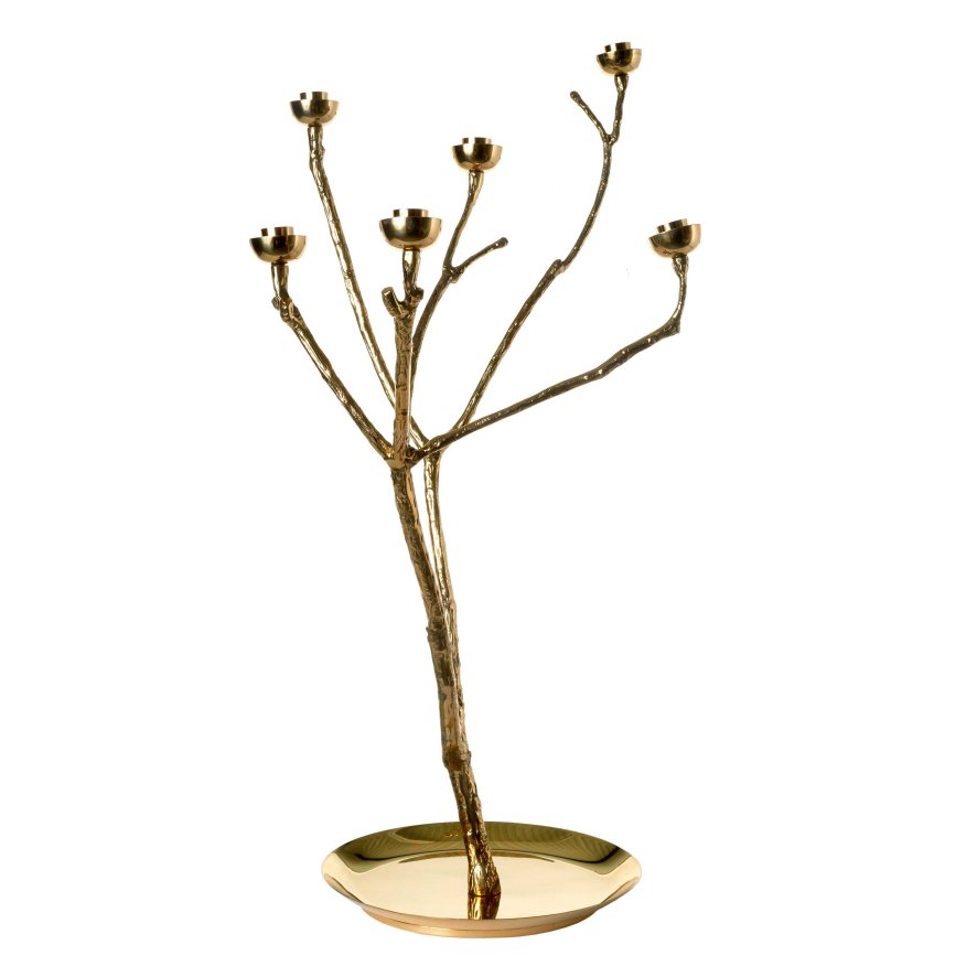 Gallery image for position 0