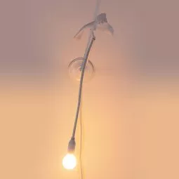 Sparrow Cruising wandlamp